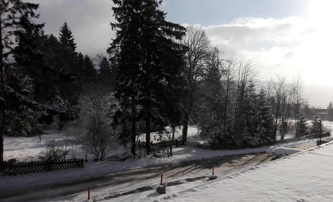 Fichtenweg 54 Winterberg Bagian luar foto